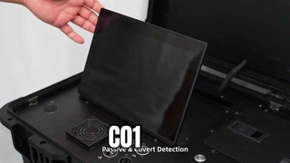 C01
